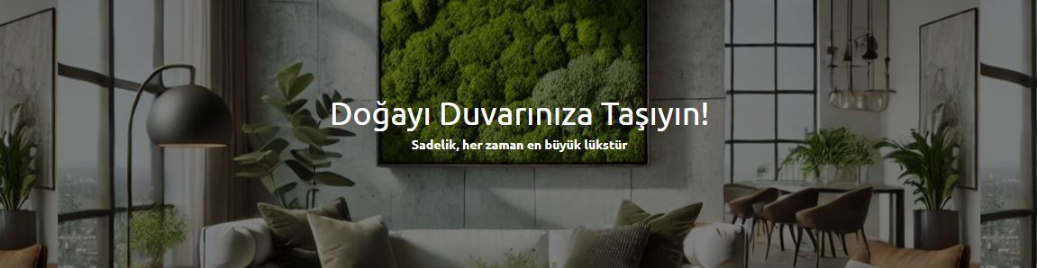 giriş